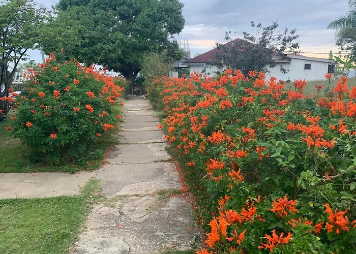 Garden * Montego Bay